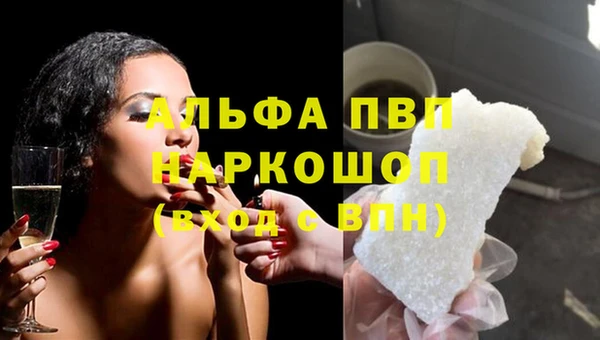 дмт Каменка