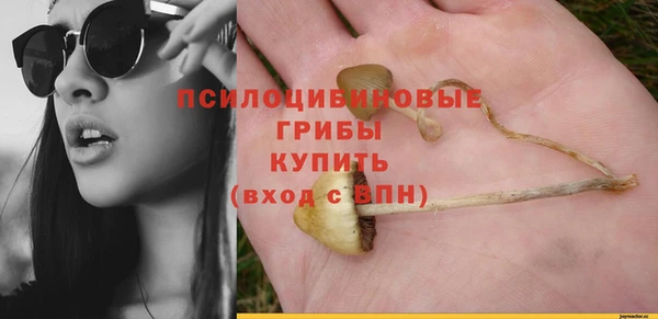 дмт Каменка