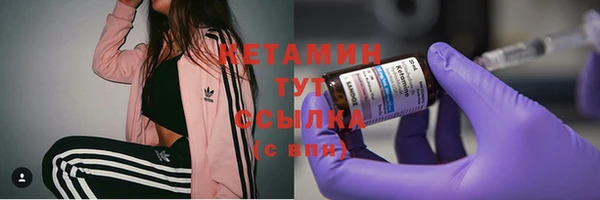 дмт Каменка