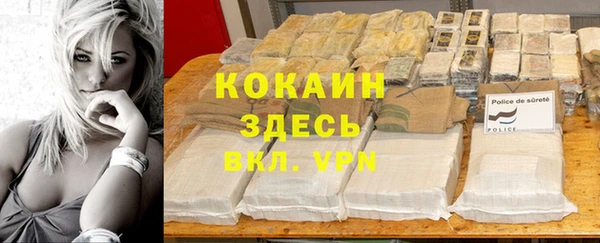 дмт Каменка