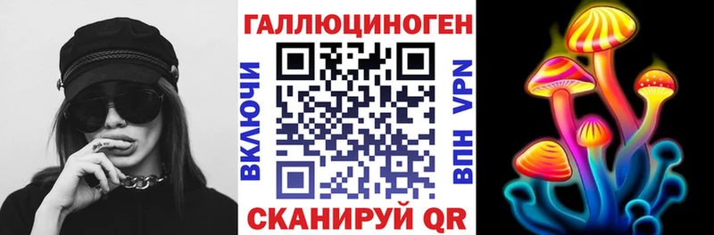 Купить  Богданович  Галлюциногенные грибы Psilocybine cubensis 